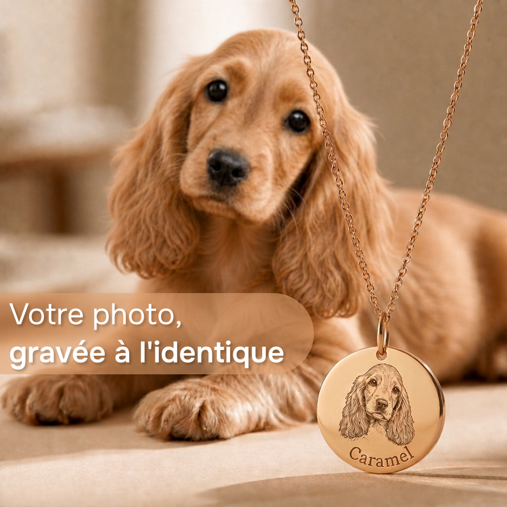 Collier Gravé de Votre Animal