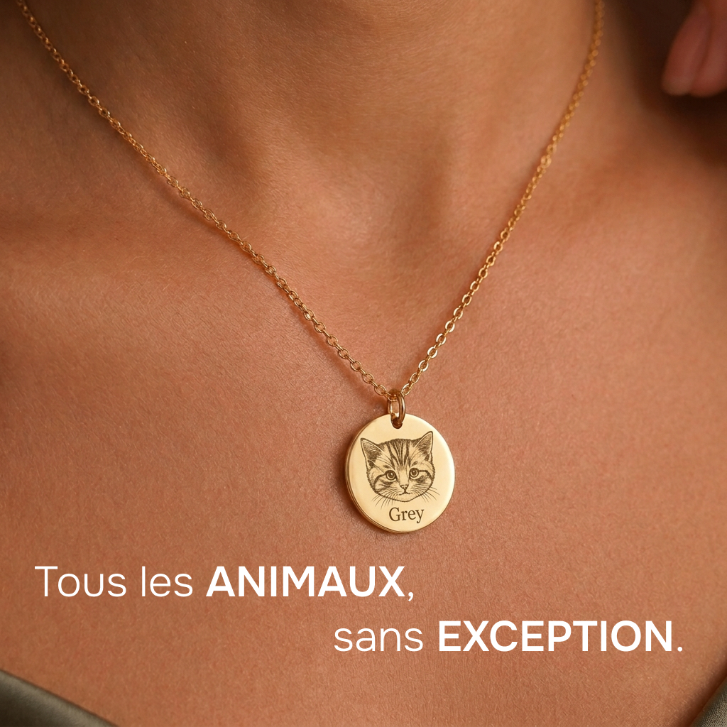Collier Gravé de Votre Animal
