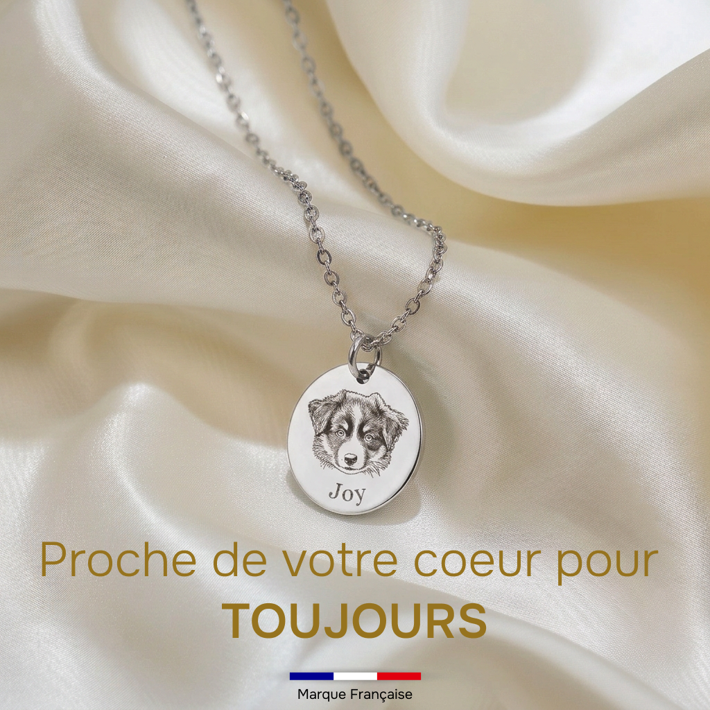 Collier Gravé de Votre Animal
