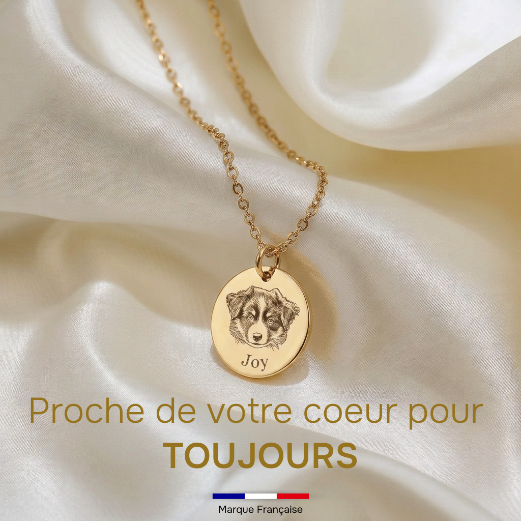 Collier Gravé de Votre Animal