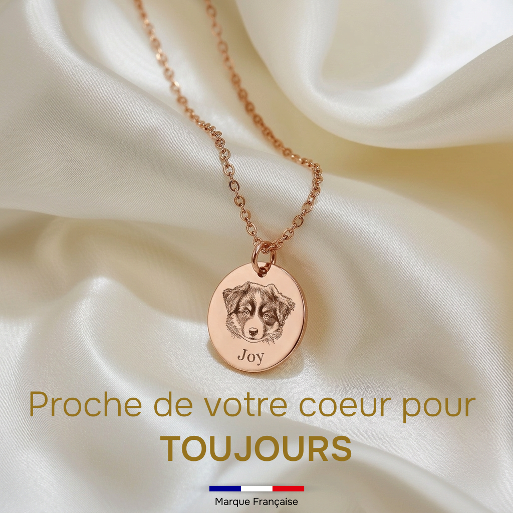 Collier Gravé de Votre Animal
